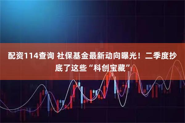 配资114查询 社保基金最新动向曝光！二季度抄底了这些“科创宝藏”