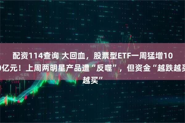 配资114查询 大回血，股票型ETF一周猛增1000亿元！上周两明星产品遭“反噬”，但资金“越跌越买”